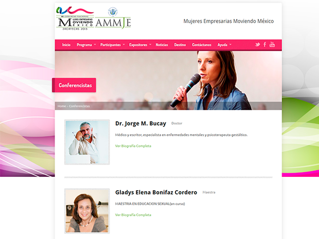 Sitio Web| AMMJE 2013 | Marketing Digital Zacatecas