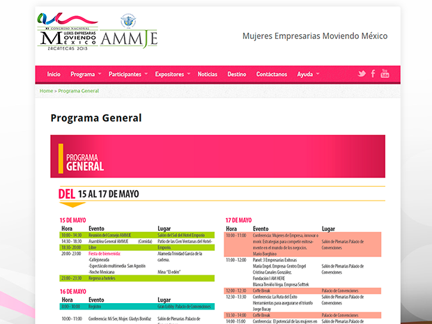 Sitio Web| AMMJE 2013 | Marketing Digital Zacatecas