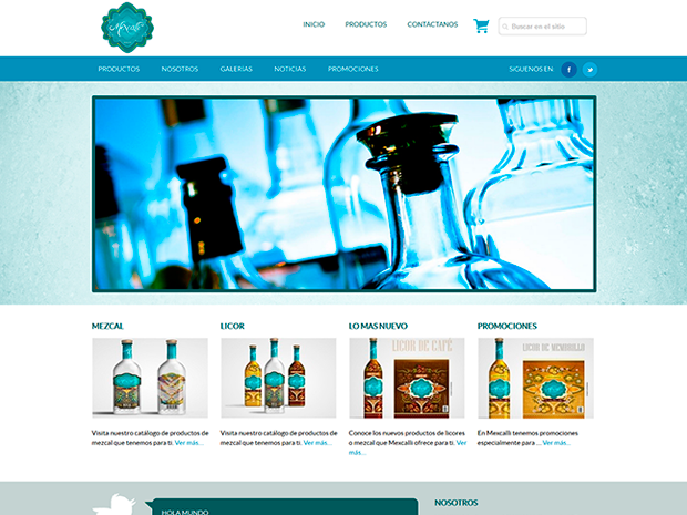 Sitio Web| Mexcalli| Marketing Digital Zacatecas