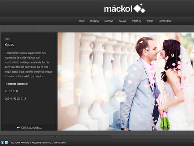 Marketing Digital Zacatecas Máckol- Sitio Web